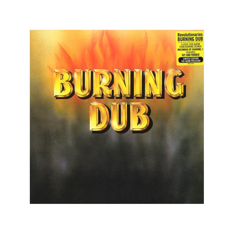 LP) REVOLUTIONARIES - BURNING DUB