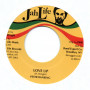 (7") PETER RANKING - LOVE UP / JAH LIFE - DUB UP