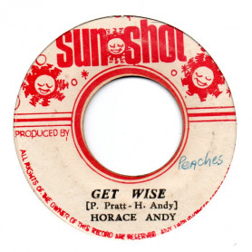 (7") HORACE ANDY - GET WISE / WISER DUB