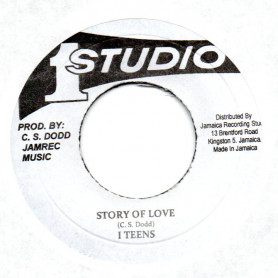 (7") I TEENS - STORY OF LOVE / THE NEW ESTABLISHMENT - VERSION OF LOVE