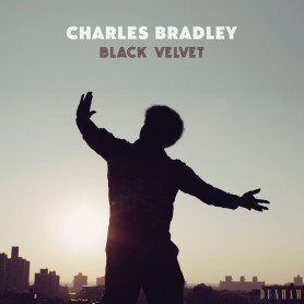 (LP) CHARLES BRADLEY - BLACK VELVET