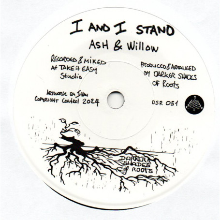 (7") ASH & WILLOW - I AND I STAND / THE SHADES - BROTHER SUN SISTER MOON