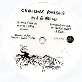 (7") ASH & WILLOW - CHALLENGE YOURSELF / THE SHADES - GROW MORE LOVING