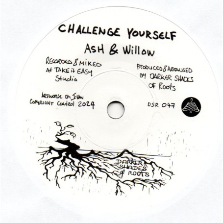 (7") ASH & WILLOW - CHALLENGE YOURSELF / THE SHADES - GROW MORE LOVING