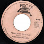 (7") WILLIAM N NELSON - PEACE IS IN THE VALLEY / VERSION