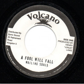 (7) THE WAILING SOULS - A FOOL WILL FALL / ROOTS RADICS - VERSION