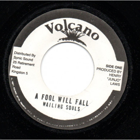 (7) THE WAILING SOULS - A FOOL WILL FALL / ROOTS RADICS - VERSION