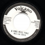 (7) THE WAILING SOULS - A FOOL WILL FALL / ROOTS RADICS - VERSION