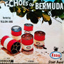 (LP) ESSO STEEL BAND - ECHOES OF BERMUDA