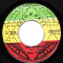 (7") BUNNY WAILER - FREE JAH CHILDREN / DUB WISE