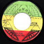 (7") BUNNY WAILER - FREE JAH CHILDREN / DUB WISE