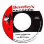 (7") THE MELODIANS - RIVERS OF BABYLON / SWEET SENSATION